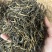 高香松针茶叶云南绿茶新茶