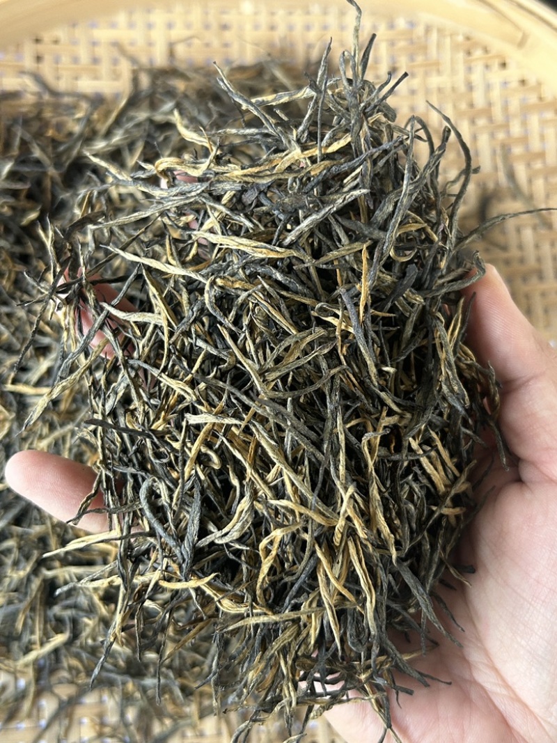 高香松针茶叶云南绿茶新茶