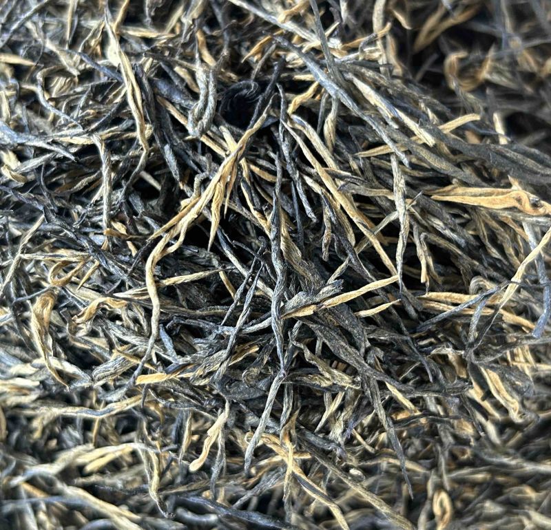 高香松针茶叶云南绿茶新茶