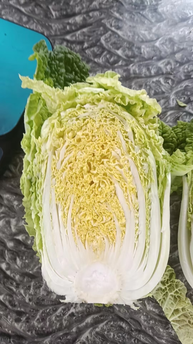 【大白菜】精品大白菜保质保量诚信经营专业实力代办