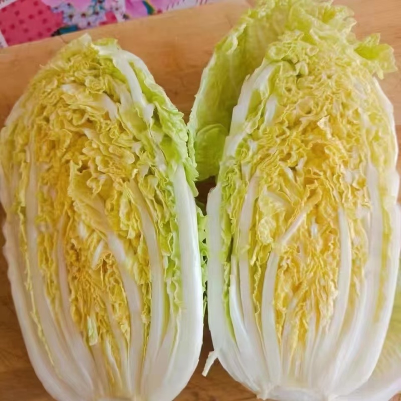 【优选】精品娃娃菜大量供应对接电商商超保质保量