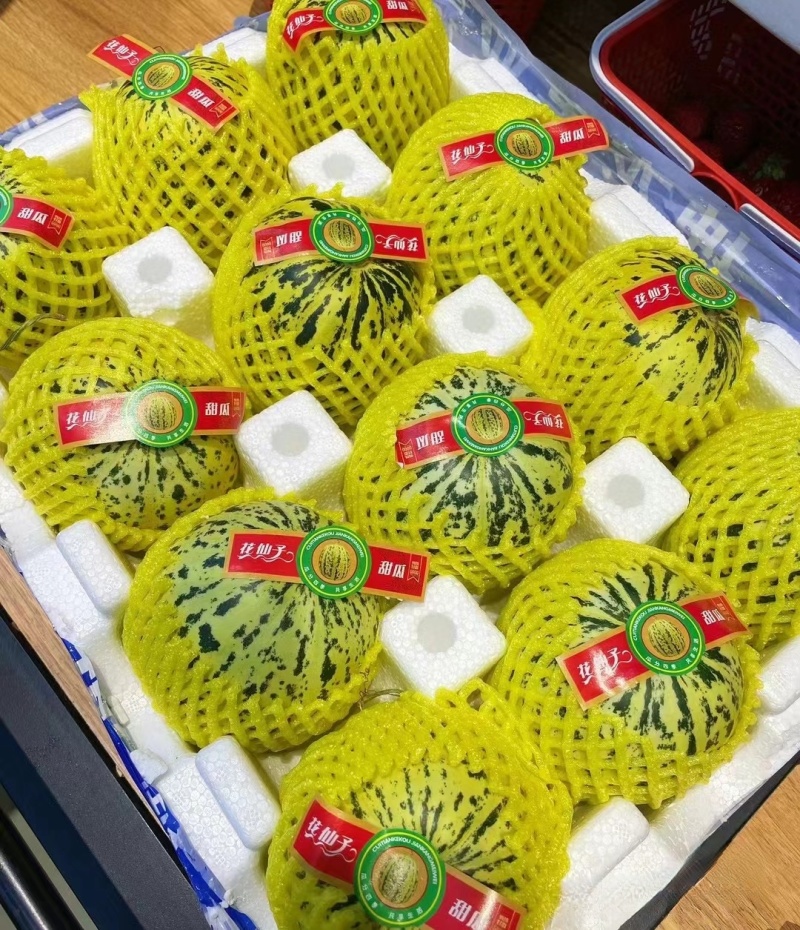河北甜瓜精品花美人天香二号大量上市口感香甜量大