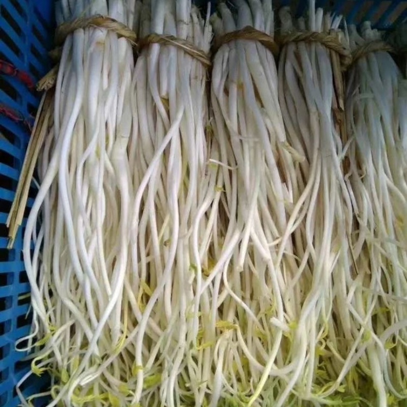 【优选】溧阳优质白芹大量供应品质保障诚信为本