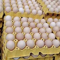 正宗山上散养鸡蛋，保证新鲜品质保证，有货，现在有货