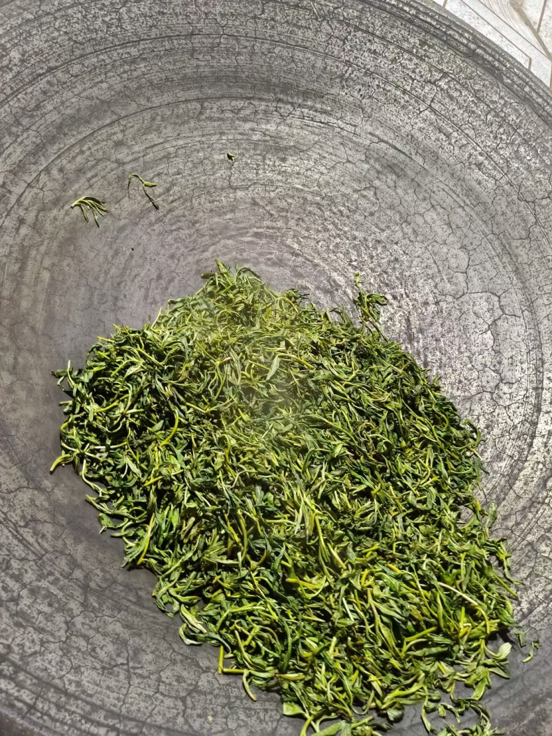 普洱茶，忙肺茶，春茶