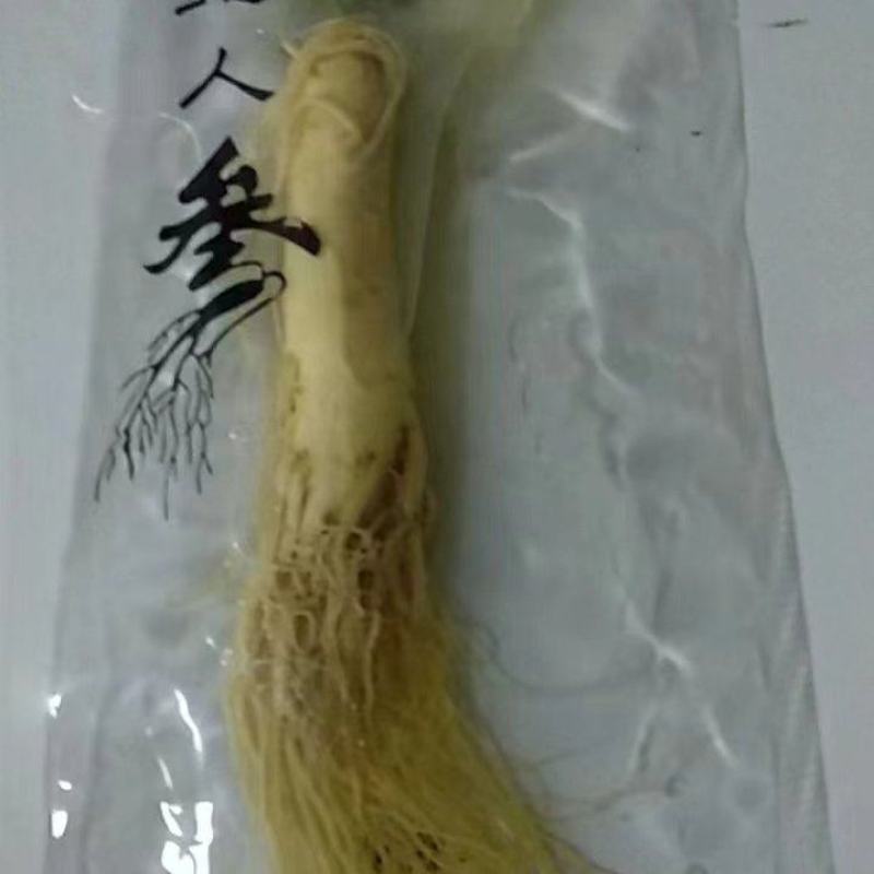 人参包邮