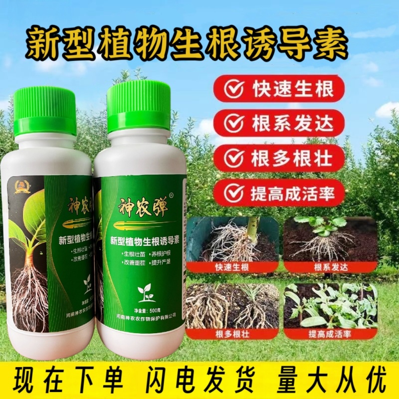 植物生根诱导素生根壮苗水溶肥果树花卉提苗壮根