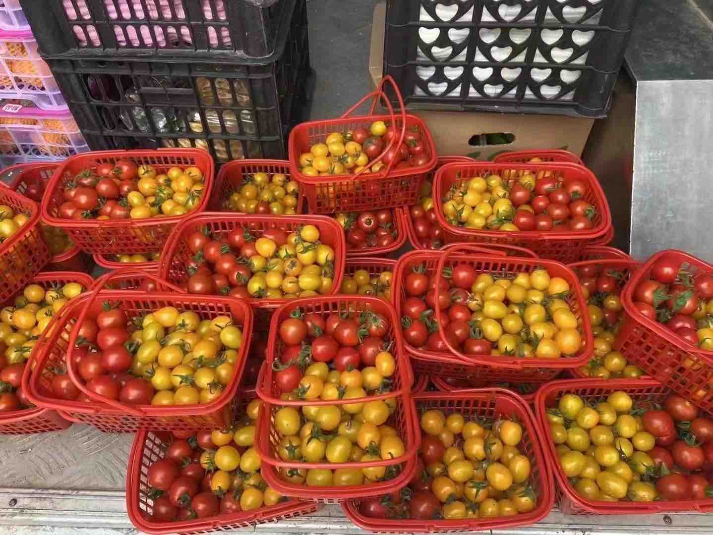 黄圣果市场销售场景