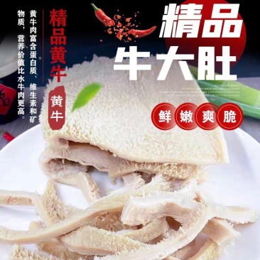 牛大肚牛朋友牛肚火锅食材烧烤食材整个牛肚40斤