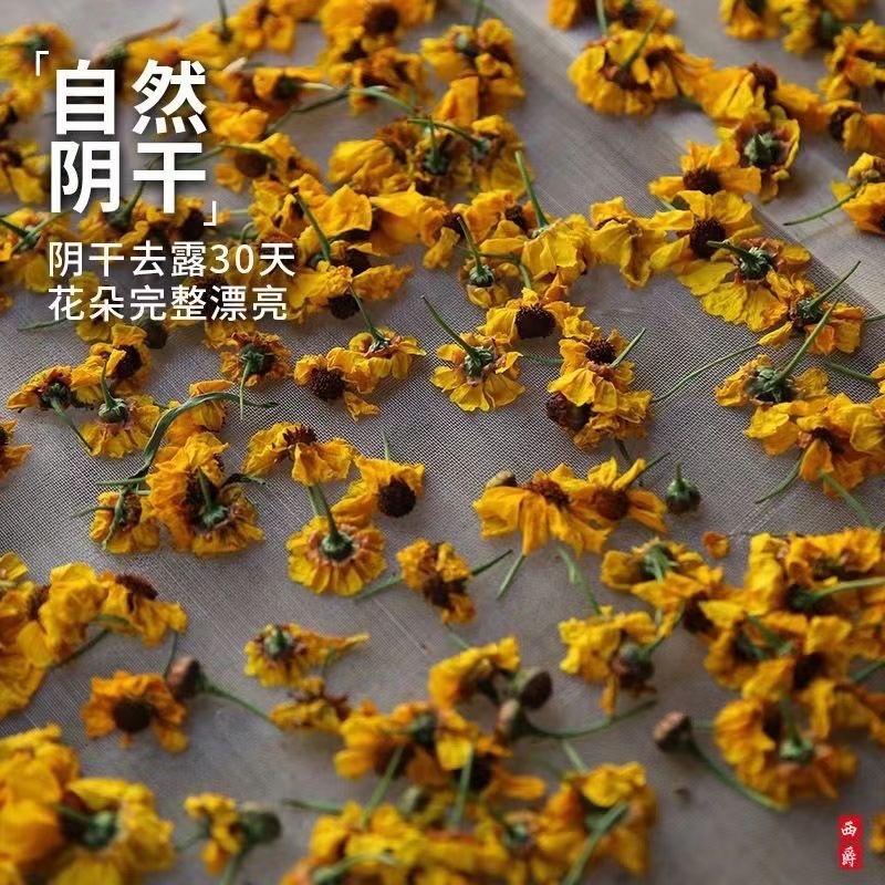 雪菊正宗新疆昆仑雪菊野生天山雪菊精选野生菊花批发