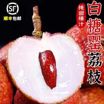 广州高州白糖罂荔枝一件代发顺丰包邮4.5斤68元