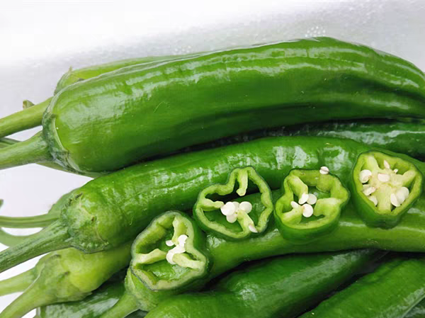 展示几颗完整的新鲜薄皮辣椒,颜色鲜红,表皮光滑,背景为自然农田环境 新鲜薄皮辣椒特写