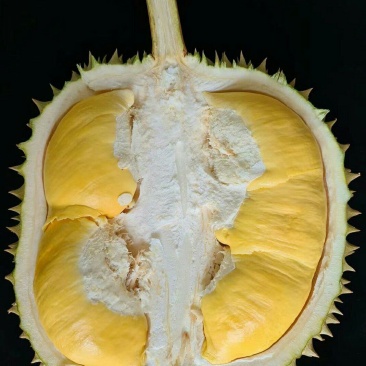 海南金枕榴莲皮薄肉厚核小口感软糯香甜果肉饱满