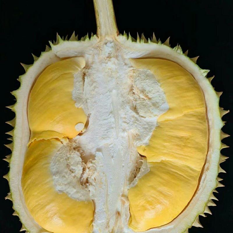 海南金枕榴莲皮薄肉厚核小口感软糯香甜果肉饱满