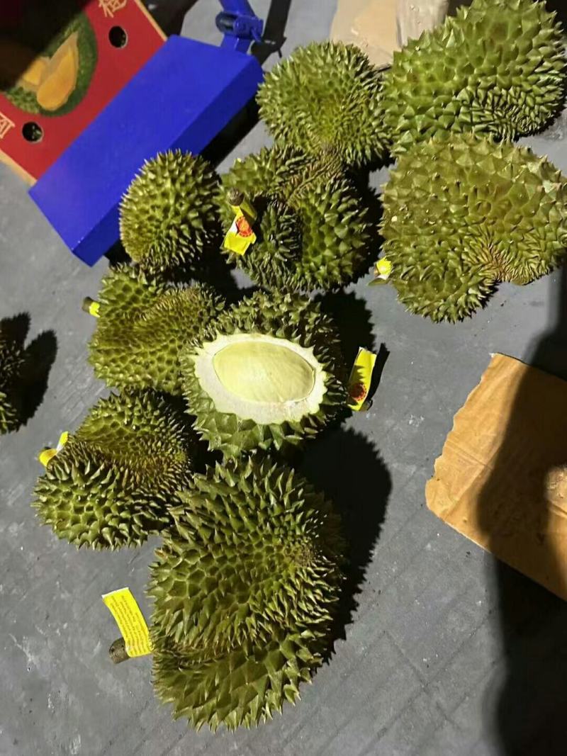 海南金枕榴莲皮薄肉厚核小口感软糯香甜果肉饱满