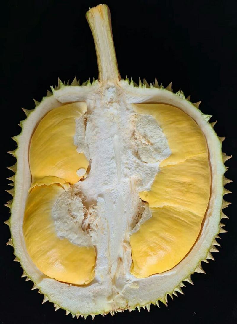 海南金枕榴莲皮薄肉厚核小口感软糯香甜果肉饱满