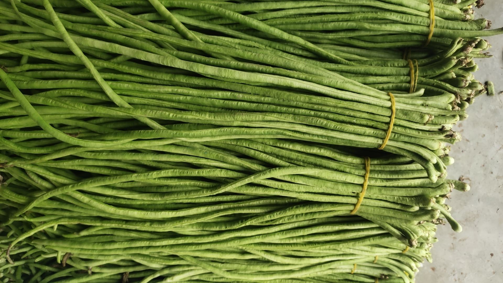 青提葡萄保存前处理过程