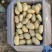 荷兰小土豆优质荷兰十五精选1～3两2～4两