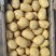 荷兰小土豆优质荷兰十五精选1～3两2～4两