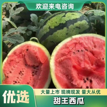 盈江甜王/蒲城甜王/大量上市/产地货源/保质保量