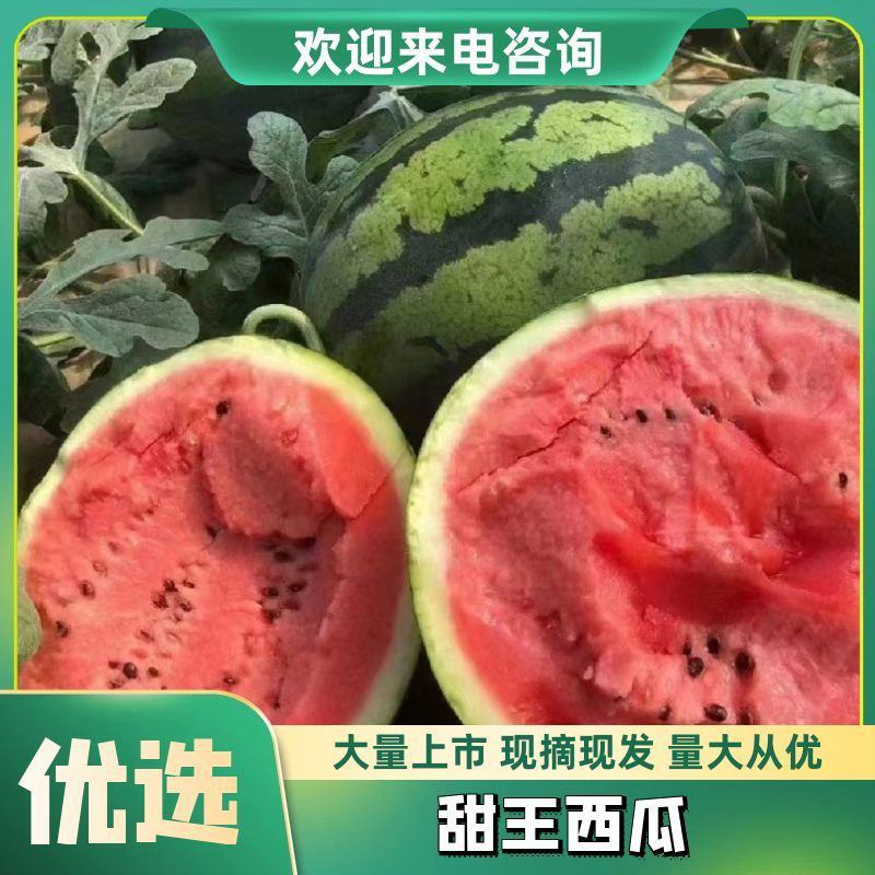盈江甜王/蒲城甜王/大量上市/产地货源/保质保量