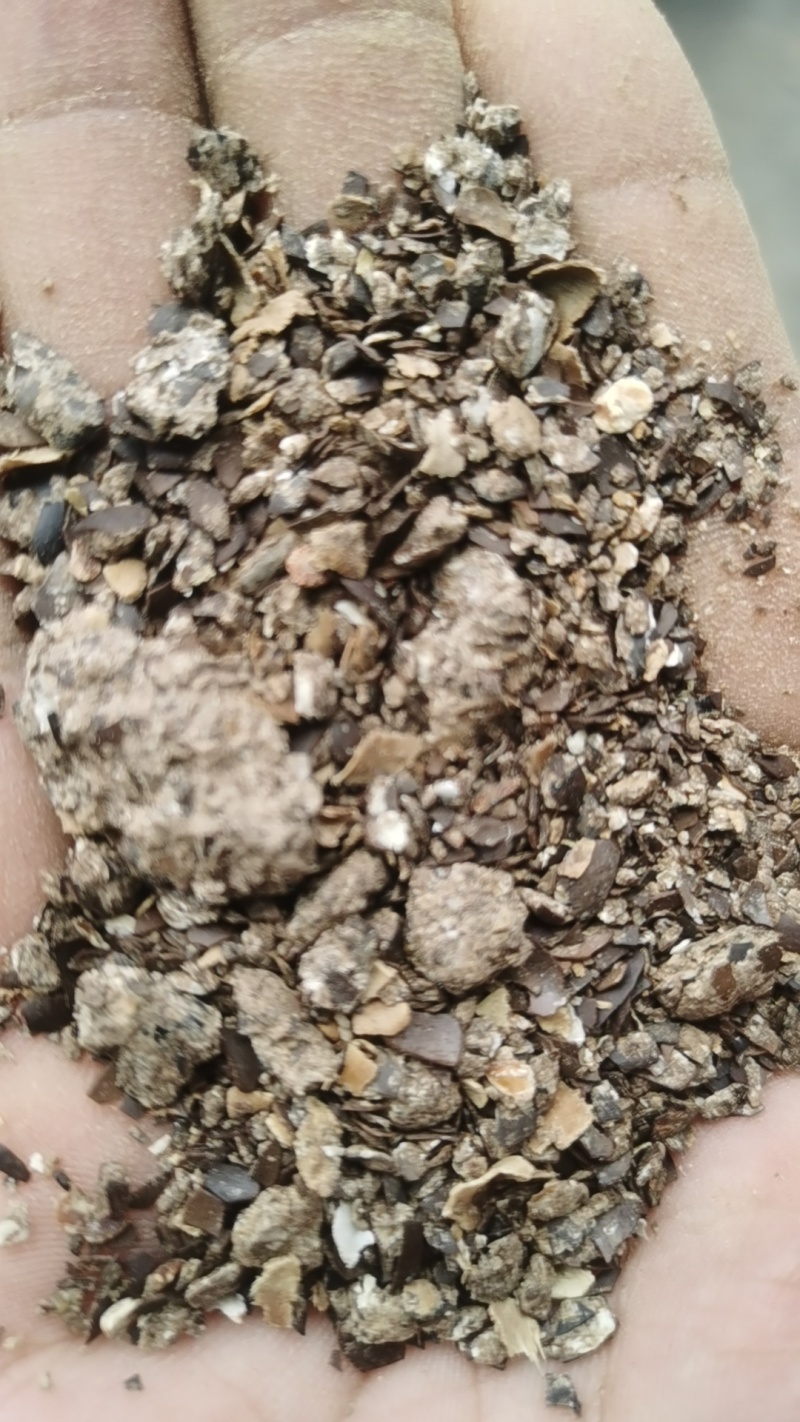 蓖麻粕