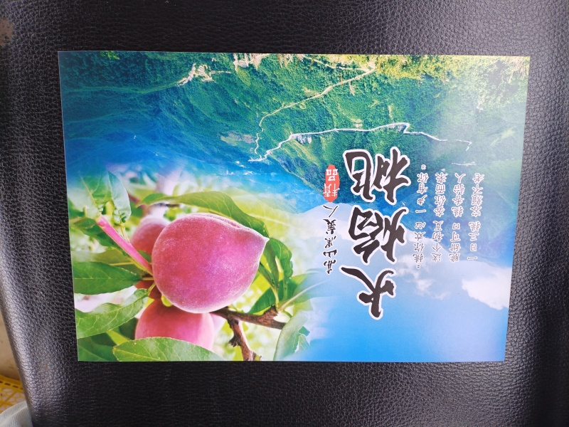云南高山火焰桃团购的看过来