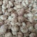 河南周口淮阳精品大混级质量好，价格低需要的客户联系