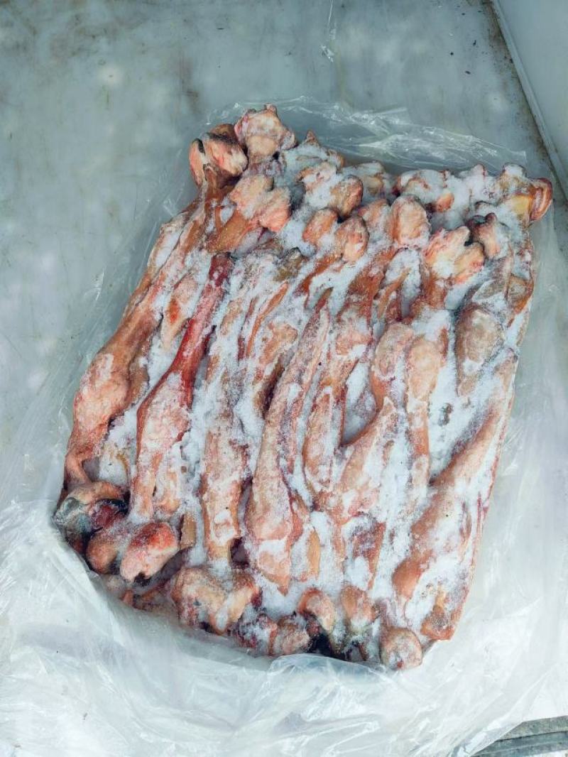 驴蹄筋精品驴蹄筋欢迎新老顾客光临颜色新鲜保质保量