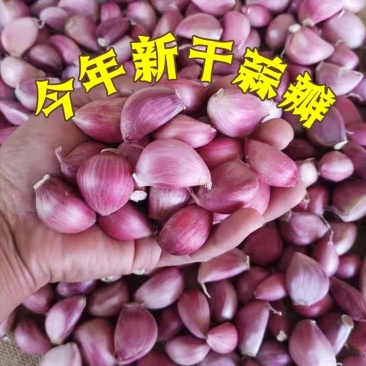 云南大理紫皮大蒜种，干蒜瓣新货批发一件代发