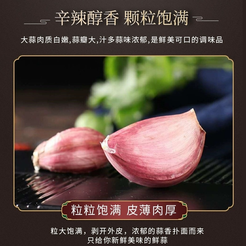 云南大理紫皮大蒜种，干蒜瓣新货批发一件代发