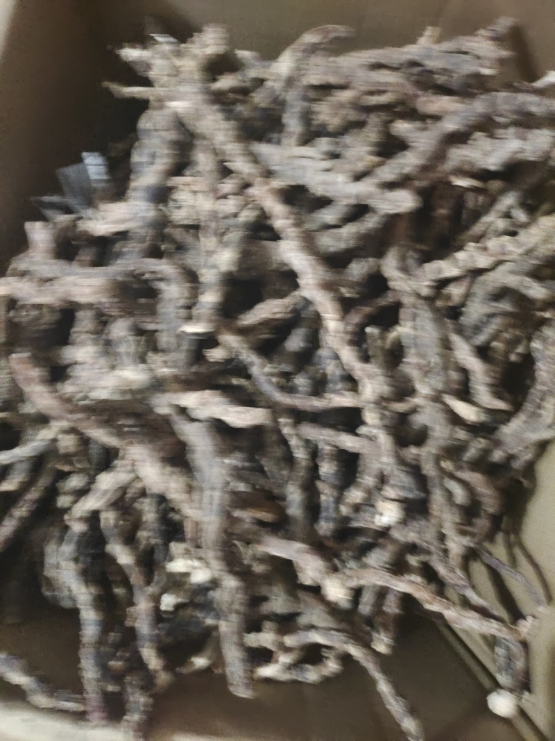 石菖蒲干货去根须干净无杂质货源充足质量保证