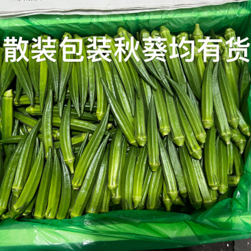 秋葵