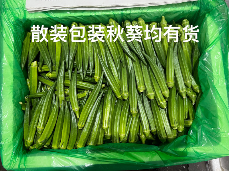 秋葵