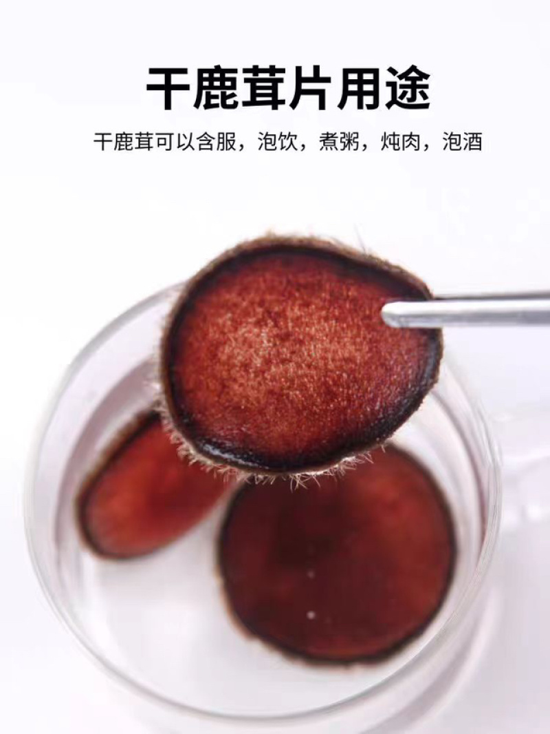 吉林双阳干鹿茸红粉片量大从优欢迎咨询
