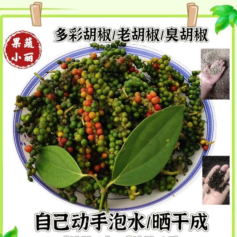 白胡椒，黑胡椒原来的样子。自己动手泡水洗干净晾晒。