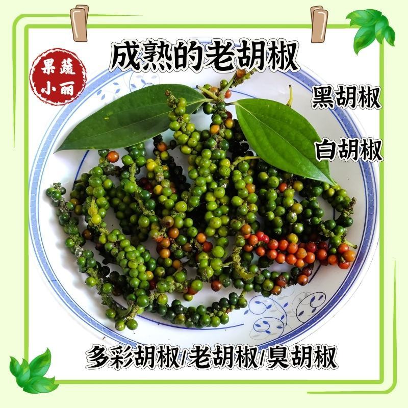 白胡椒，黑胡椒原来的样子。自己动手泡水洗干净晾晒。