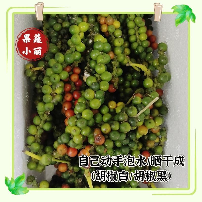 白胡椒，黑胡椒原来的样子。自己动手泡水洗干净晾晒。