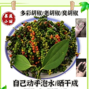 白胡椒，黑胡椒原来的样子。自己动手泡水洗干净晾晒。