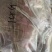 东北梅花鹿鹿肉量大从优质量保证欢迎咨询下单