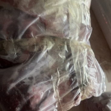 东北梅花鹿鹿肉量大从优质量保证欢迎咨询下单