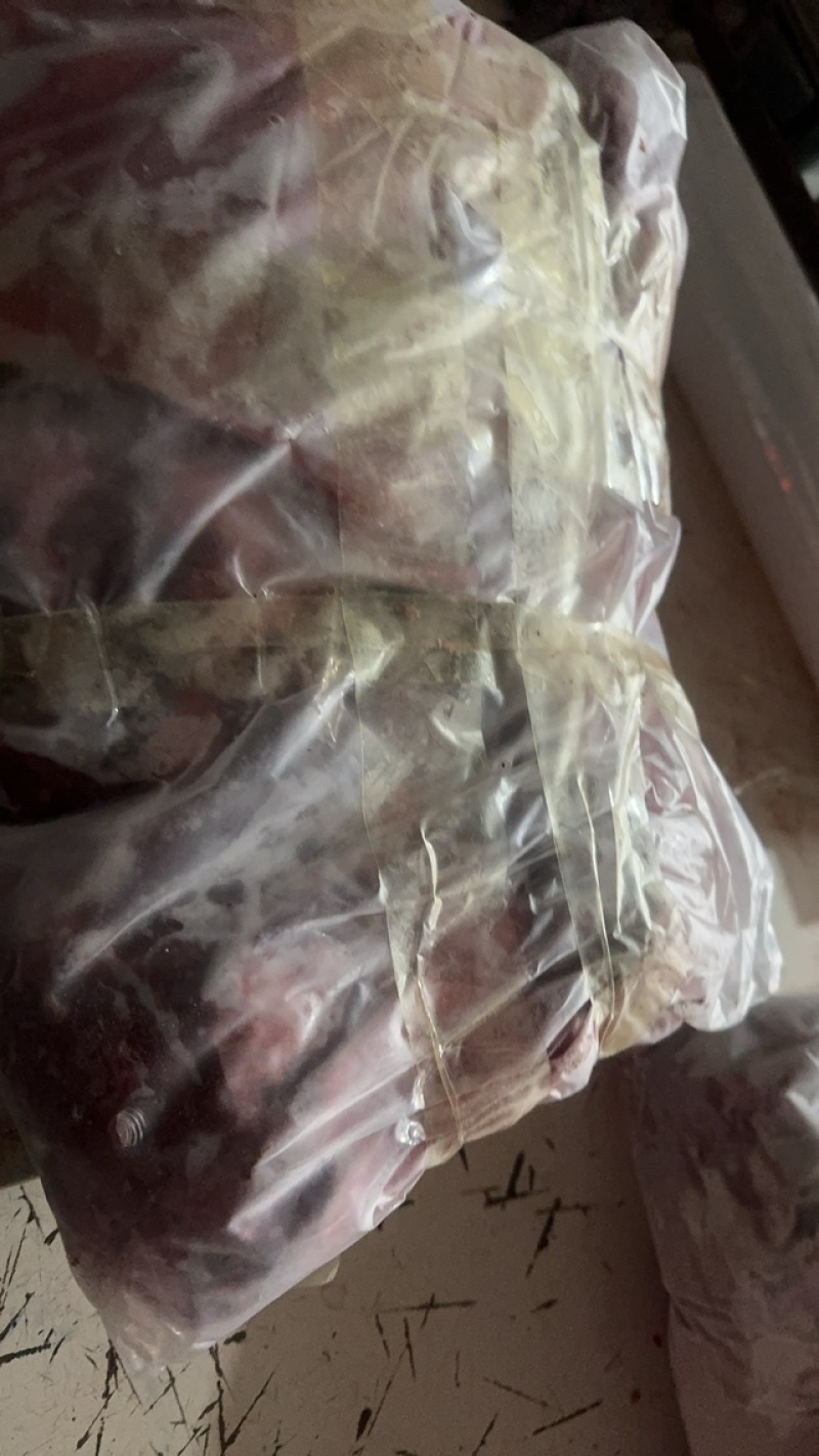 东北梅花鹿鹿肉量大从优质量保证欢迎咨询下单