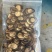 吉林双阳梅花鹿半腊片质量保证诚信经营欢迎咨询