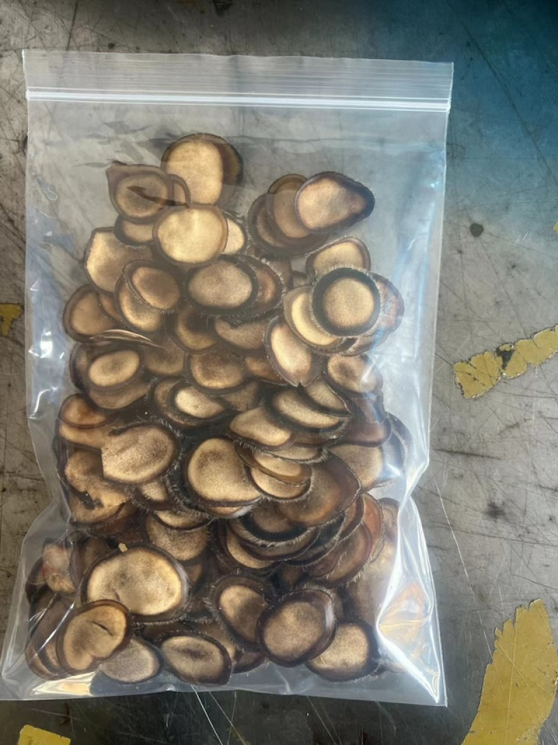 吉林双阳梅花鹿半腊片质量保证诚信经营欢迎咨询