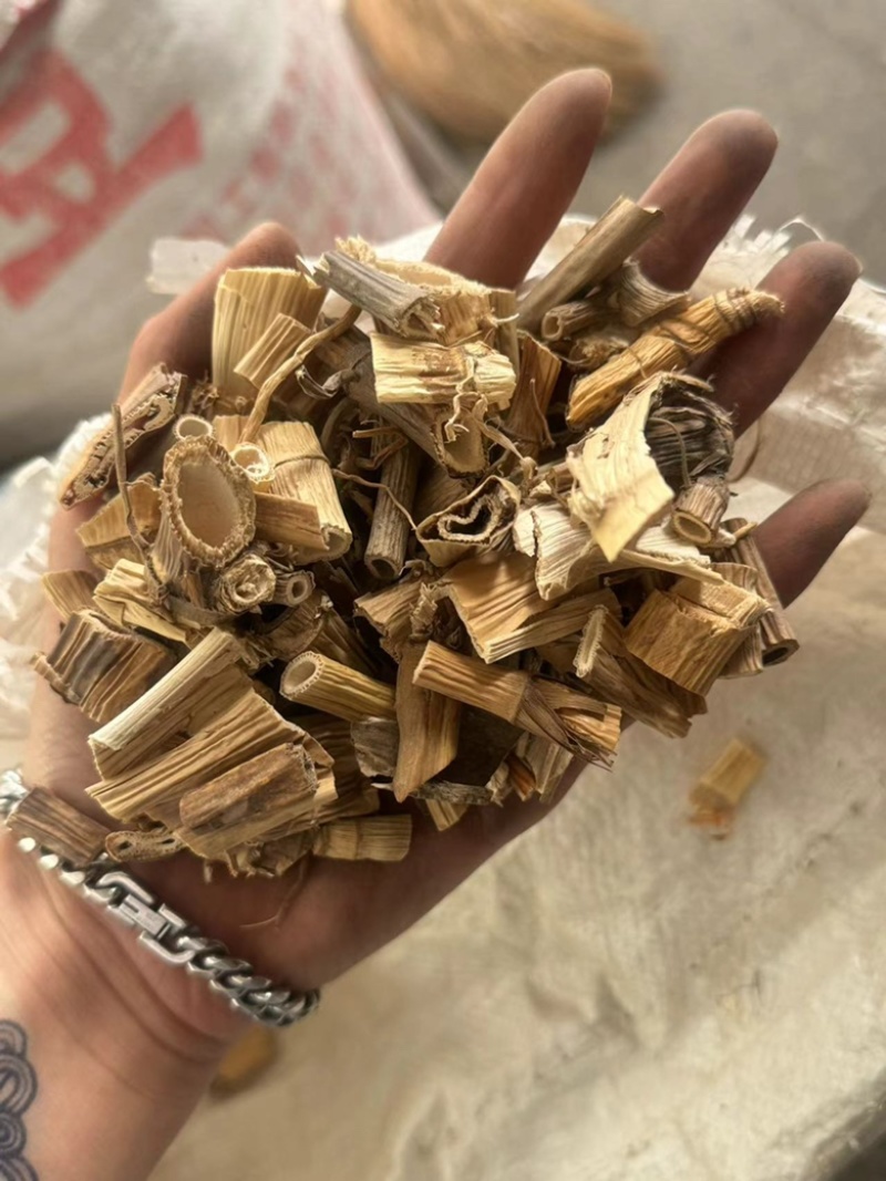芦根苇根肉厚正品芦根小芦根过筛货现货货漂亮