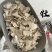 牡蛎牡蛎片保庆药业牡蛎壳实物拍摄生牡蛎煅牡蛎