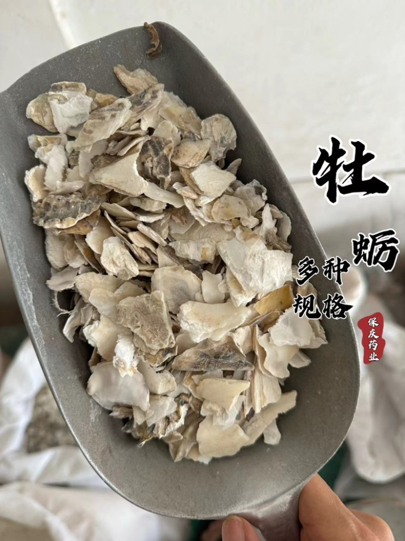 牡蛎牡蛎片保庆药业牡蛎壳实物拍摄生牡蛎煅牡蛎