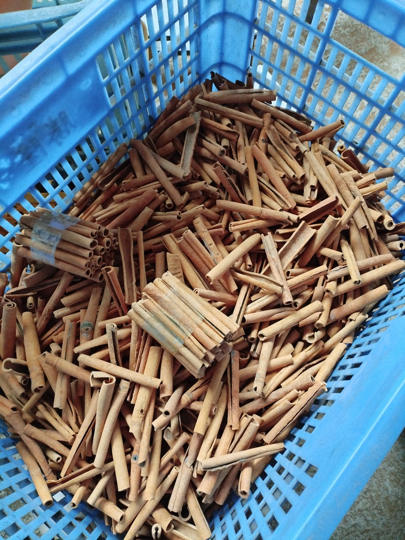 广西无硫桂皮，优质桂皮，烟桂，烟仔桂，产地直供