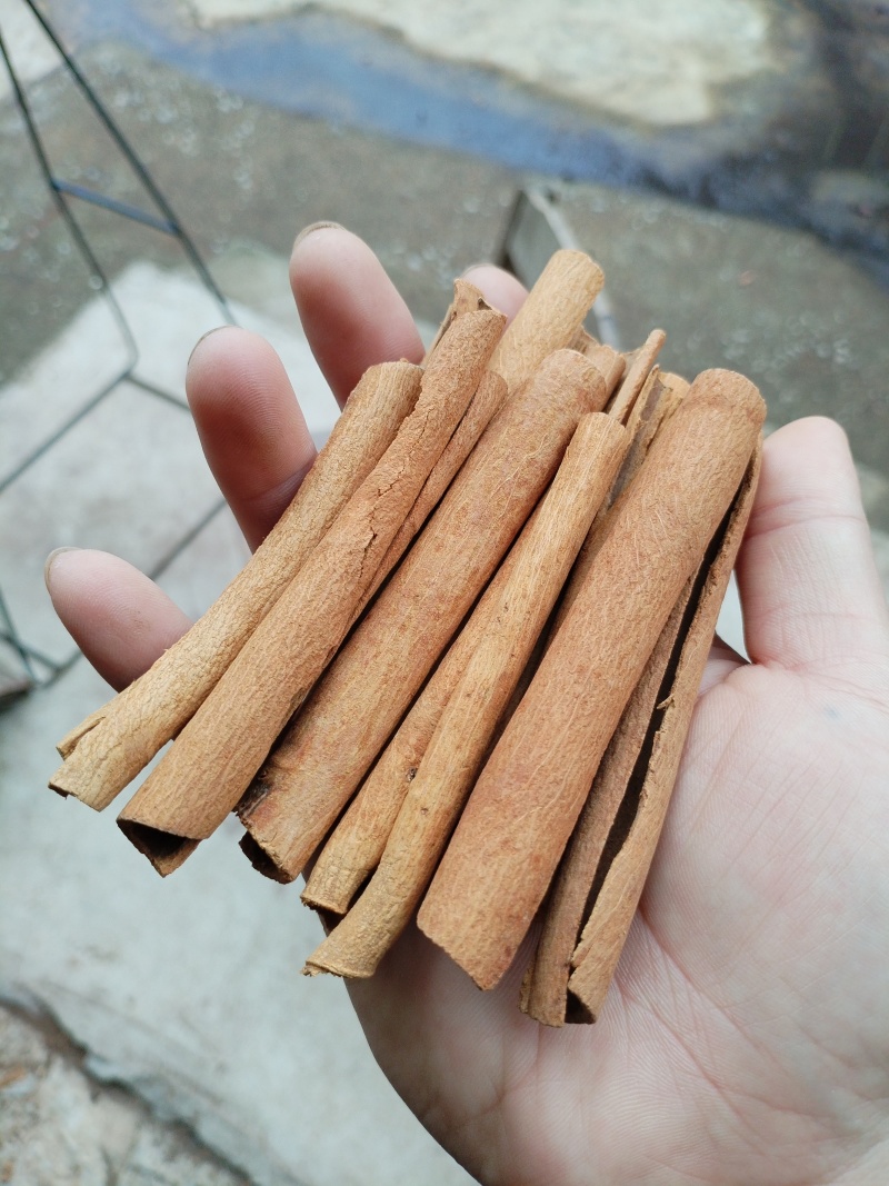 广西无硫桂皮，优质桂皮，烟桂，烟仔桂，产地直供
