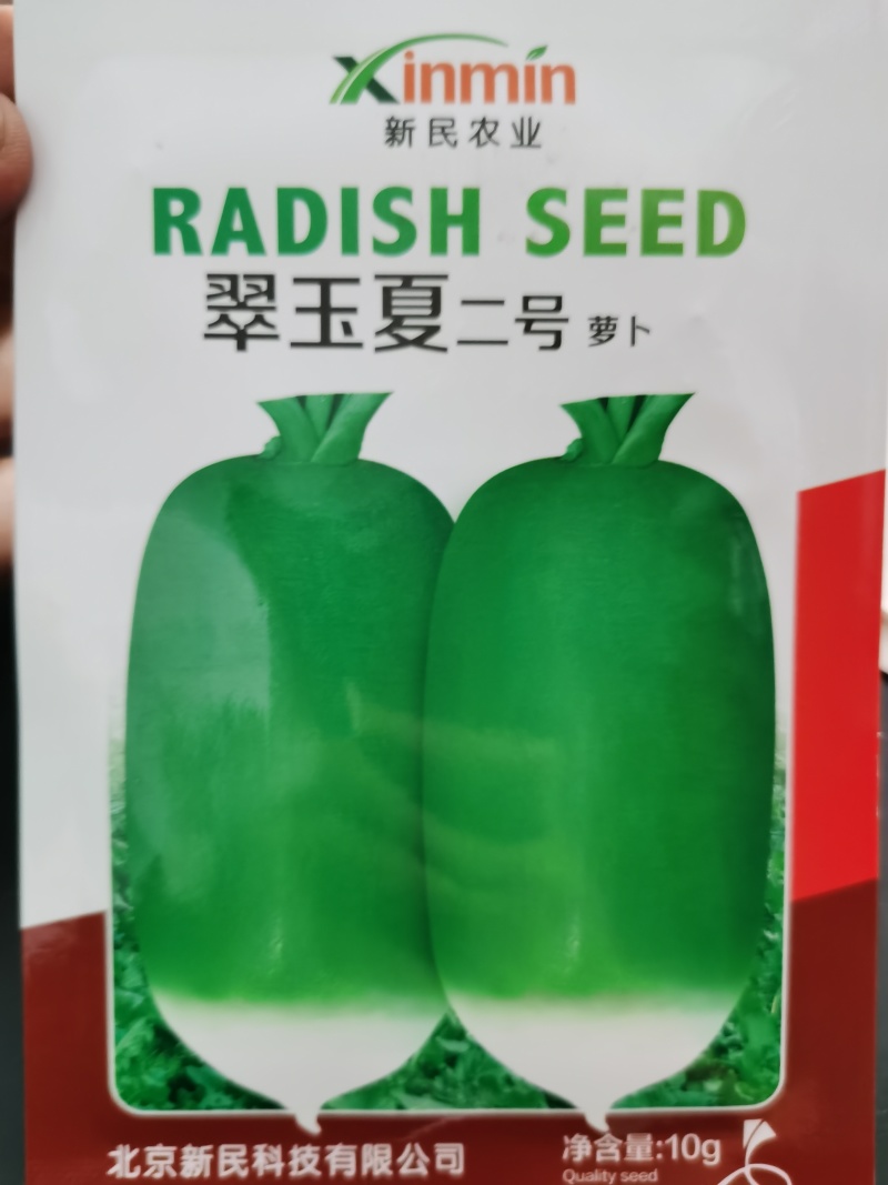 翠玉夏二号新绿1439耐热型早上市优质萝卜种子